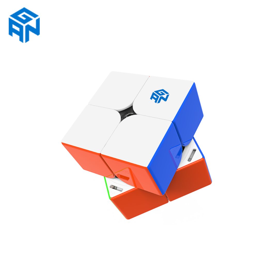 GAN Expert Magnetic Combo Pack: 251 M Pro, 11 M Pro, 460 M, Skewb, Megaminx, Mirror - Cubuzzle